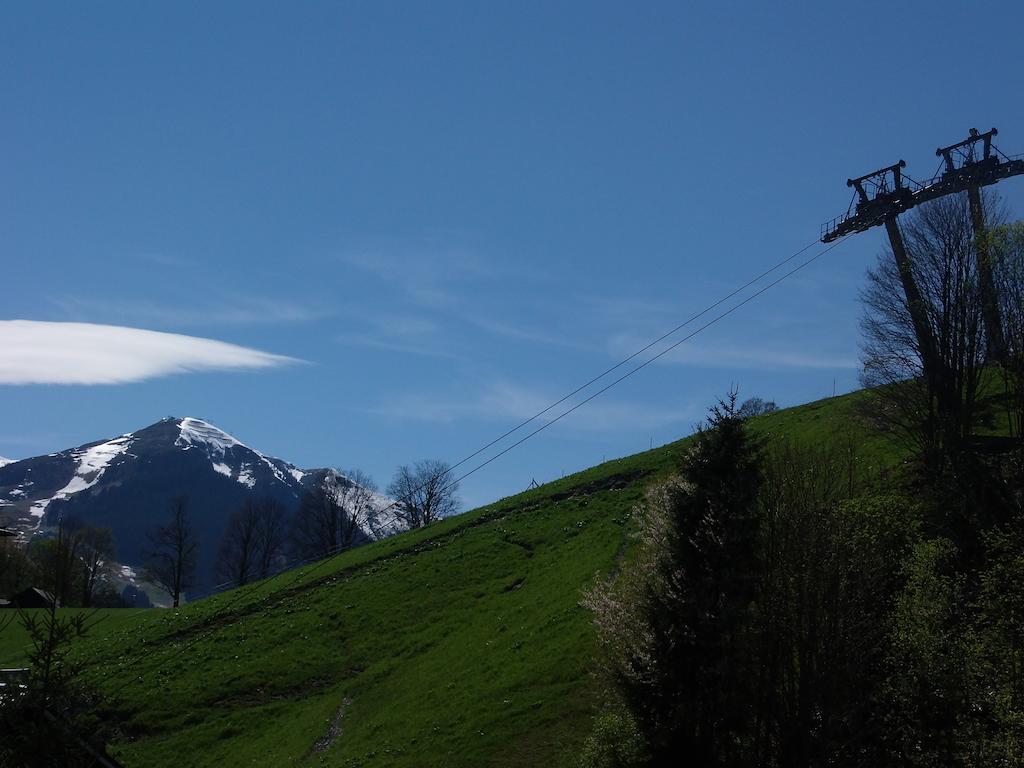 Ferienwohnung Haus Bergheim Saalbach-Hinterglemm Exterior foto